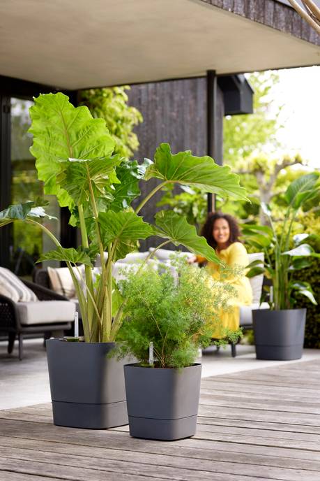 greensense aqua care vierkant 30cm houtskoolgrijs